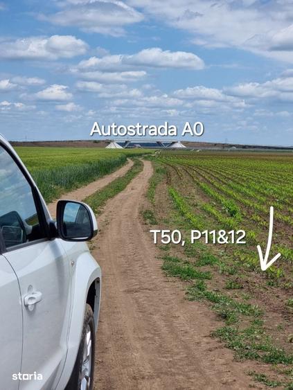 Teren de 33100 mp, în Glina
