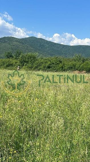 Teren agricol extravilan de 2000 mp, în Poplaca
