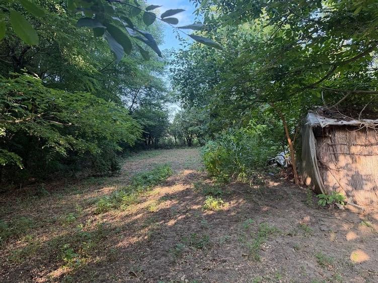 Teren de 1300 mp, în Bițina-Pământeni