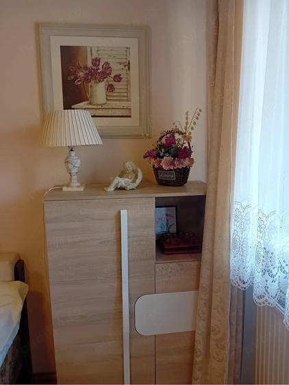 Apartament cu 2 camere semidecomandat în Cornișa