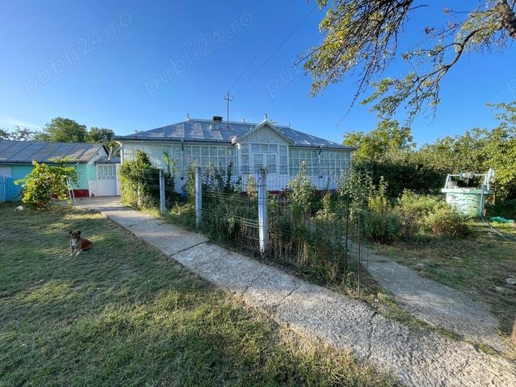 Casă cu Teren 3000 Mp în Gorbănești