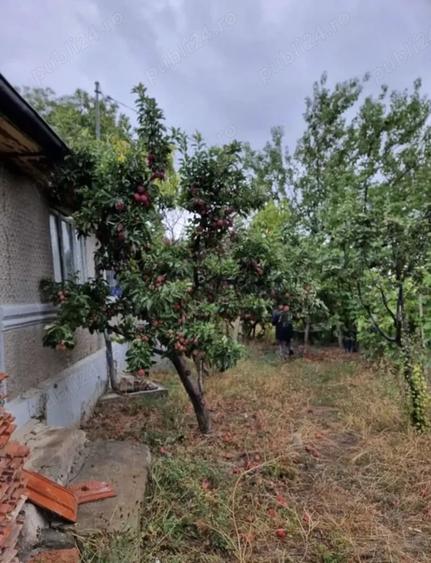 Casă cu 4 camere cu Teren 2700 Mp în Năeni