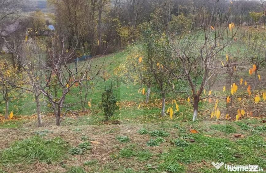 Casă cu 2 camere cu Teren 1807 Mp în Central