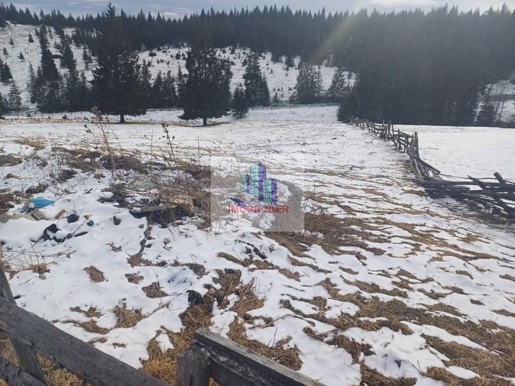 Teren agricol intravilan de 10900 mp, în Măguri-Răcătău