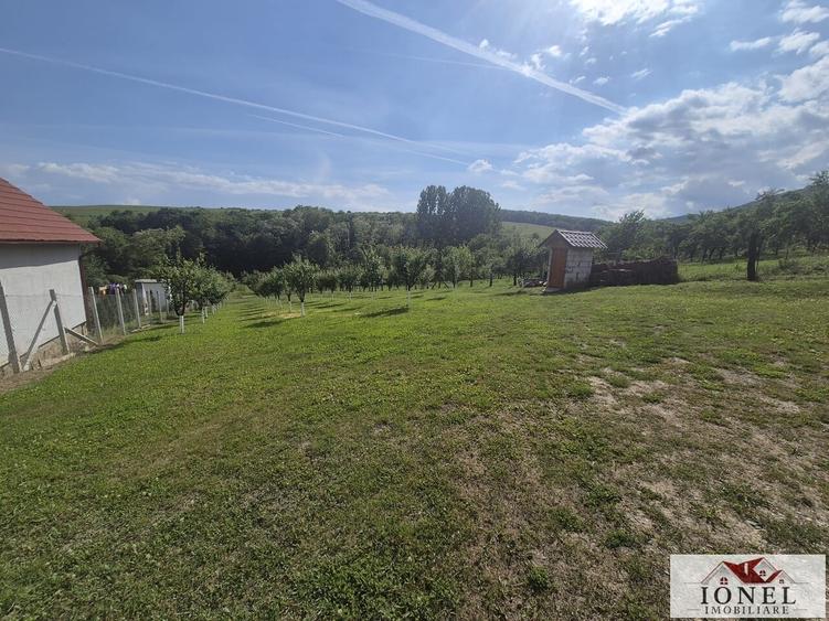 Teren Construcții intravilan de 2292 mp, în Vințu de Jos