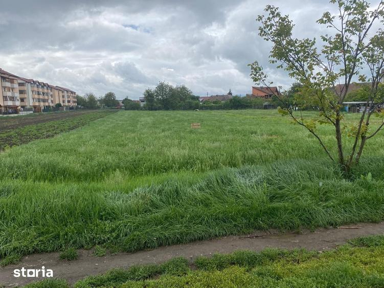 Teren de 556 mp, în Gușterița