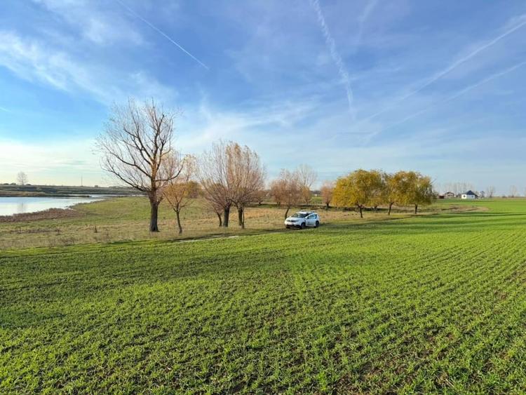 Teren Construcții intravilan de 513 mp, în Berceni