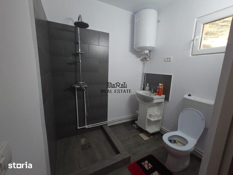 Casă cu 4 camere decomandat cu Teren 7650 Mp în Buceș