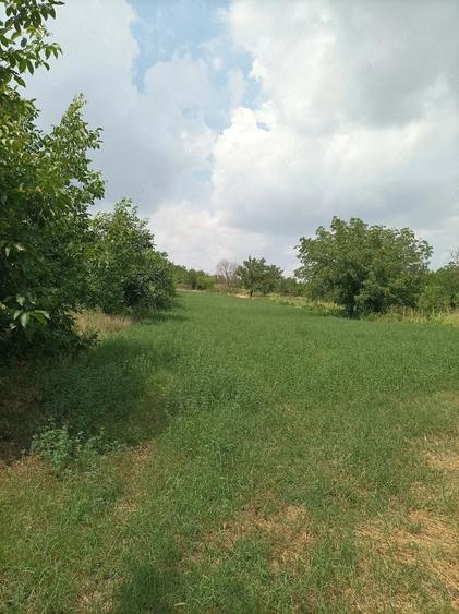 Teren de 3400 mp, în Daia