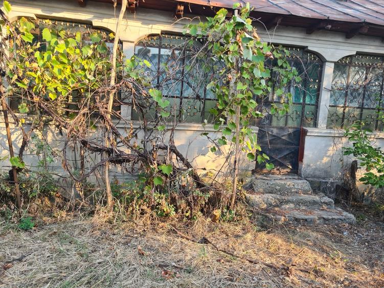 Casă cu 4 camere cu Teren 1800 Mp în Vânătorii Mici