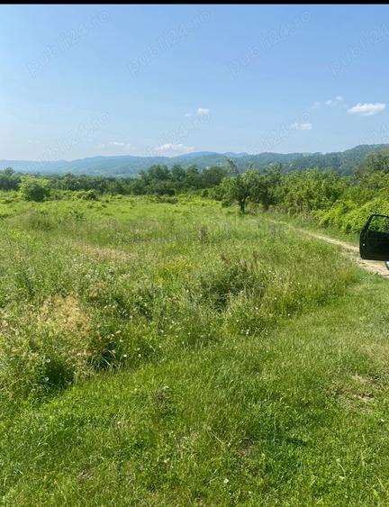 Teren de 2500 mp, în Sibiciu de Sus