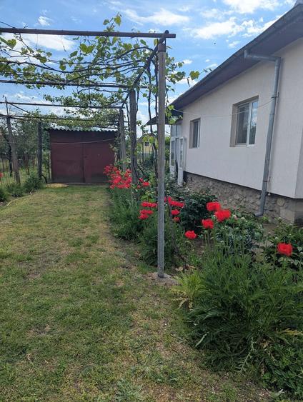 Casă cu 4 camere cu Teren 1000 Mp în Exterior Vest
