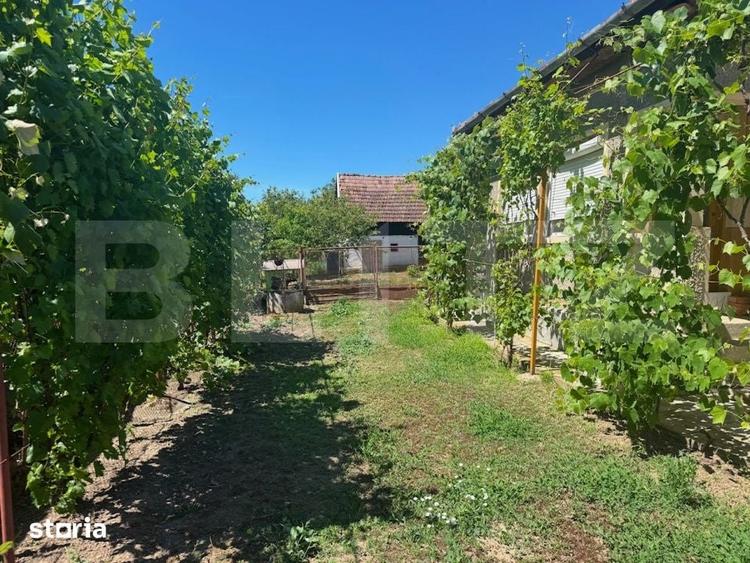 Casă cu 3 camere cu Teren 4348 Mp în Craidorolț