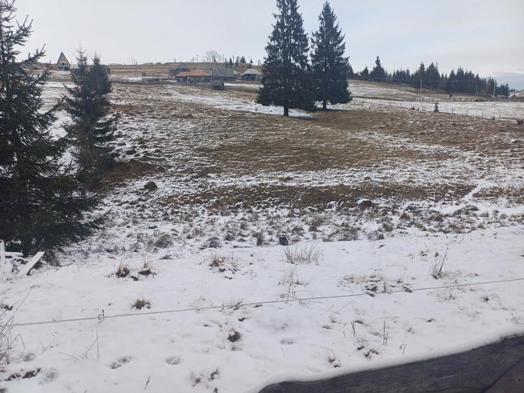 Teren agricol intravilan de 10900 mp, în Măguri-Răcătău