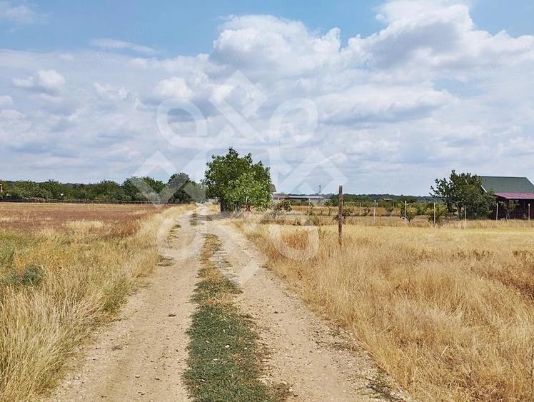 Teren de 3000 mp, în Gepiu