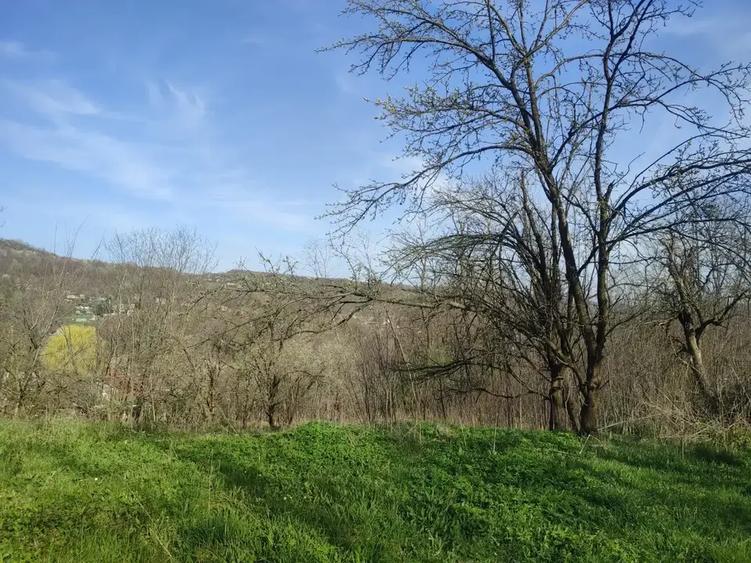 Teren intravilan de 5973 mp, în Plaiu (Provița de Sus)