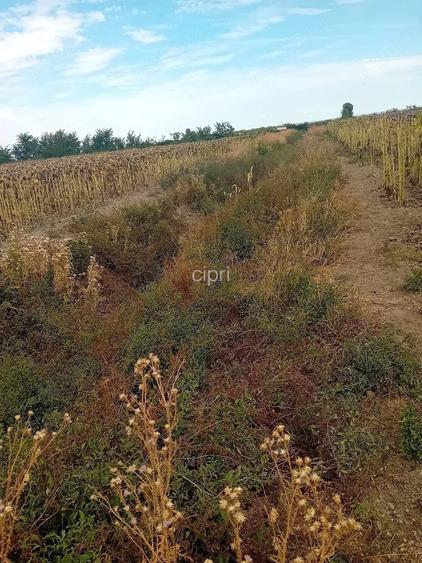 Teren de 457 mp, în Central