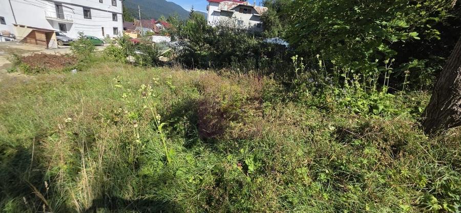 Teren în Central