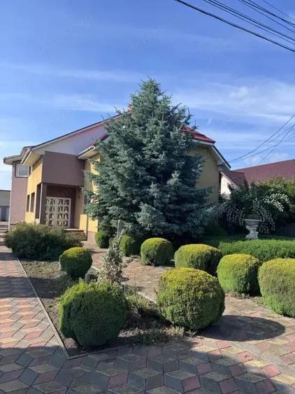 Casă cu Teren 2500 Mp în Siret