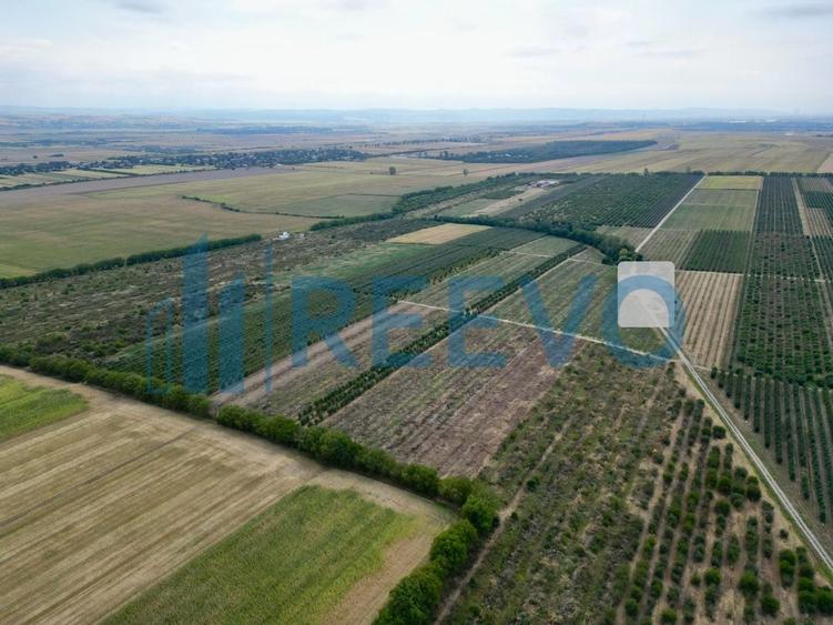 Teren agricol extravilan de 87000 mp, în Itești