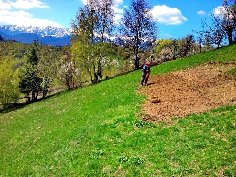 Teren Construcții intravilan de 14000 mp, în Bran