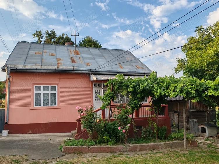 Teren de 7800 mp, în Pătrăuți