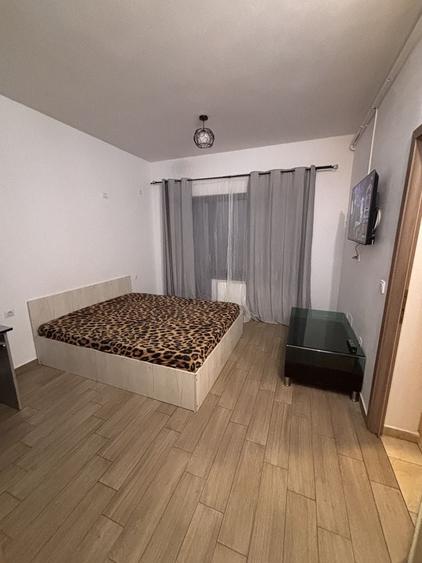 Garsonieră decomandată în Vișan