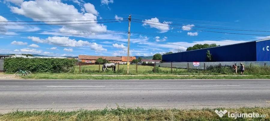 Teren în Cărpiniș