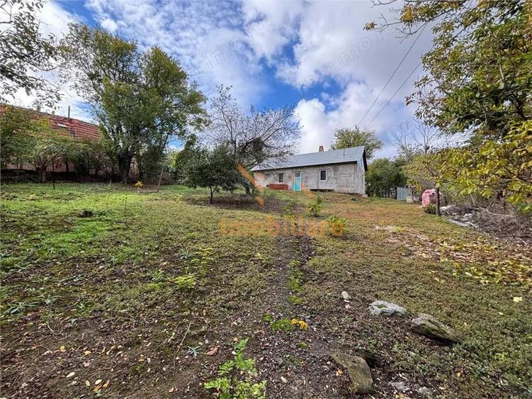 Casă cu 2 camere cu Teren 4000 Mp în Dernișoara