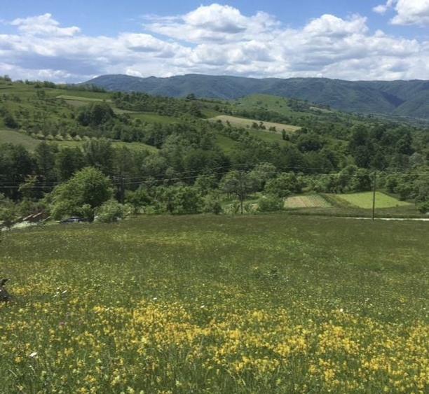 Teren de 879 mp, în Armeniș