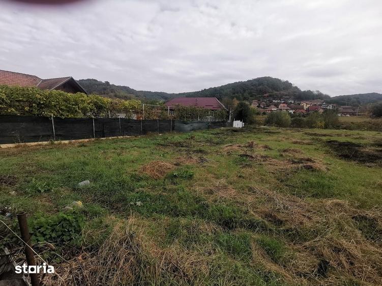 Teren de 1204 mp, în Central