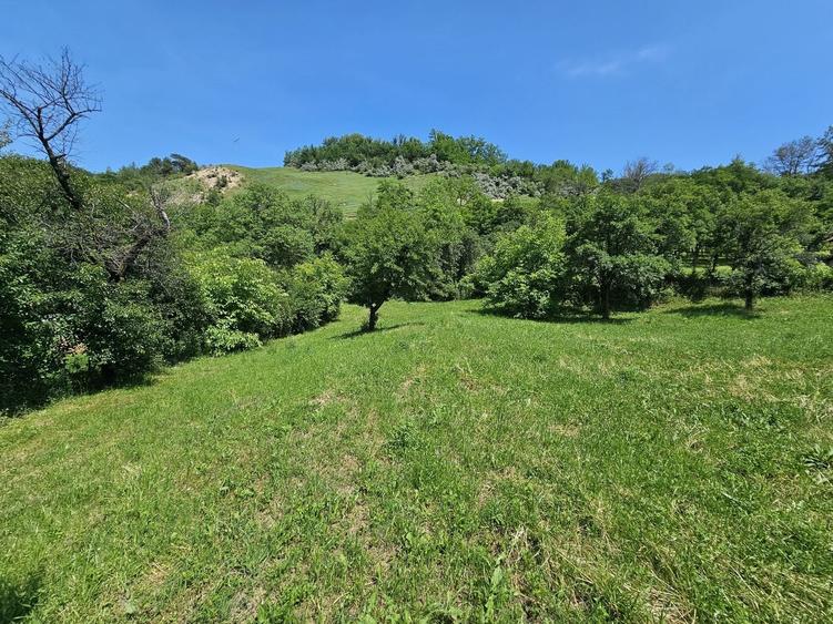 Teren Construcții intravilan de 1491 mp, în Plopu (Dărmănești)