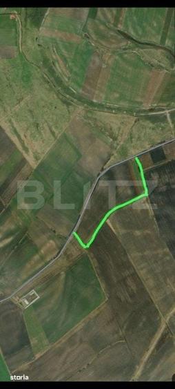 Teren de 250000 mp, în Giulvăz