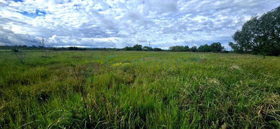 Teren agricol extravilan de 21956 mp, în Săbolciu