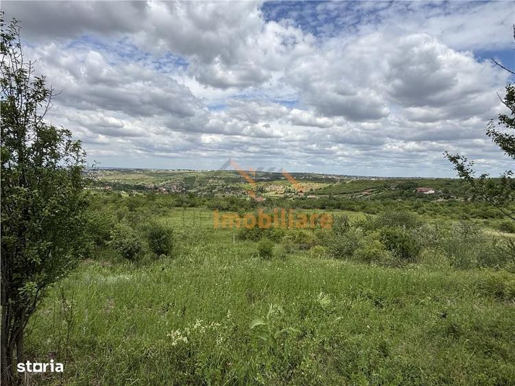 Teren Intravilan | 1.824 Mp | Dealuri | Oradea - 4