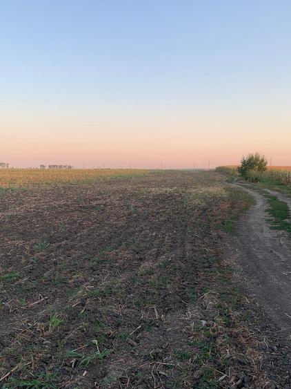 Teren Construcții intravilan de 30000 mp, în Ștefăneștii de Jos
