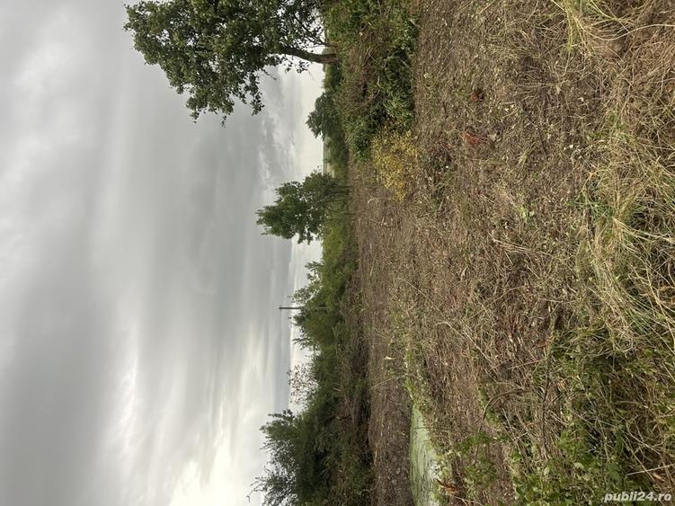 Teren de 5000 mp, în Sacoșu Mare