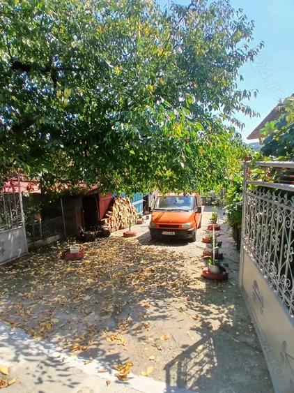 Casă cu 3 camere cu Teren 11000 Mp în Nadiș