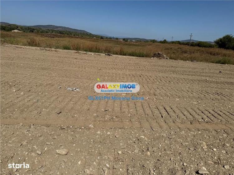 Teren de 2960 mp, în Lipănești