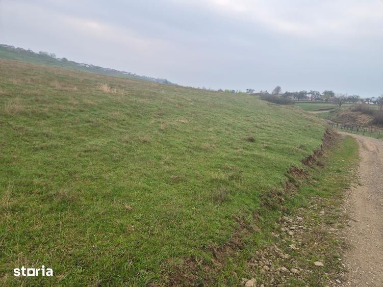 Teren de 10070 mp, în Mitocu Dragomirnei