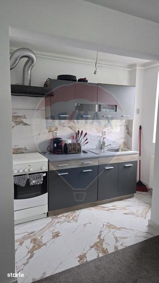 Apartament cu 2 camere de vanzare in Gura Campului - 6