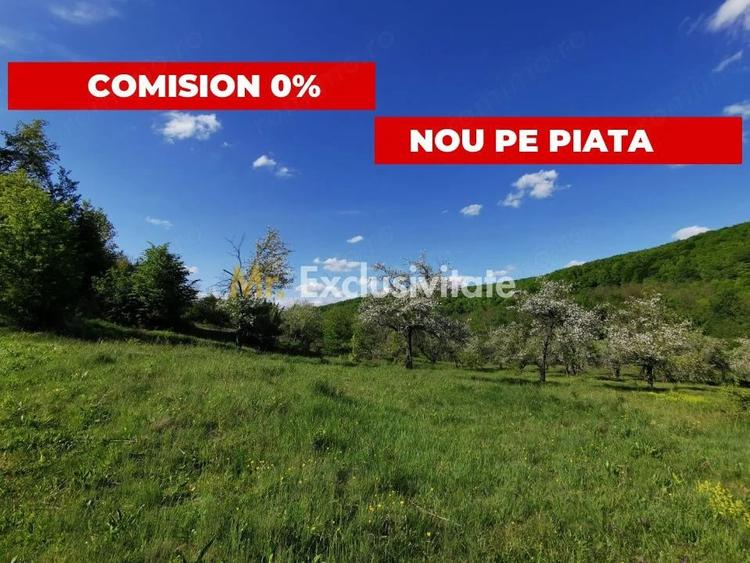 Teren de 680 mp, în Budeasa