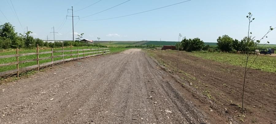 Casă în Central