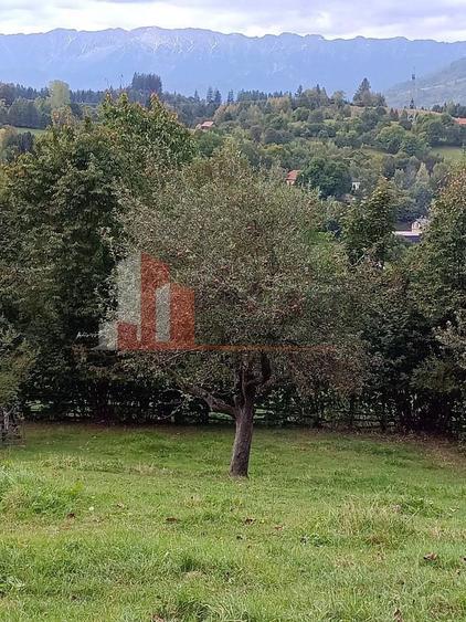 Teren Construcții intravilan de 1300 mp, în Bran