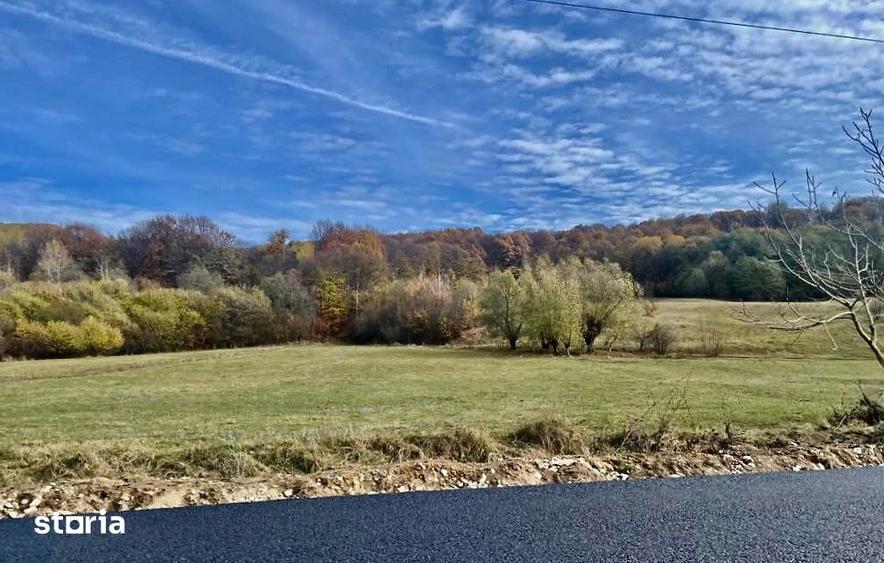 Teren de 22800 mp, în Mihăești