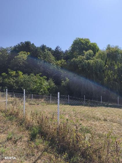 Teren cu o panorama superba,la marginea padurii ( rezervatie naturala) - 3