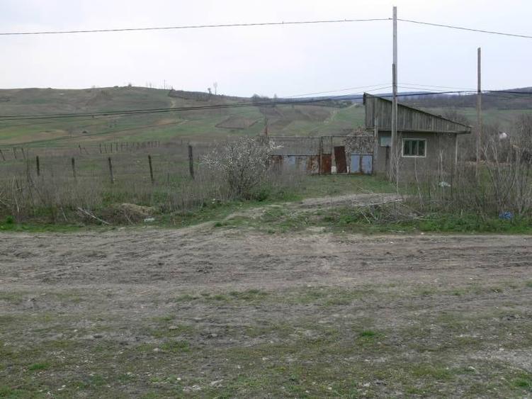 Teren Construcții intravilan de 6170 mp, în Negrești