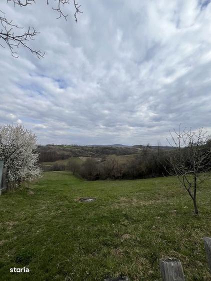 Teren de 5000 mp, în Copăcel
