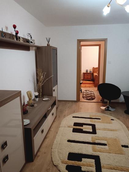 Apartament 2 camere de vanzare - 4