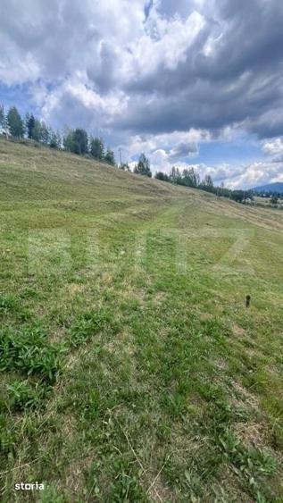 Teren de 36000 mp, în Bosanci